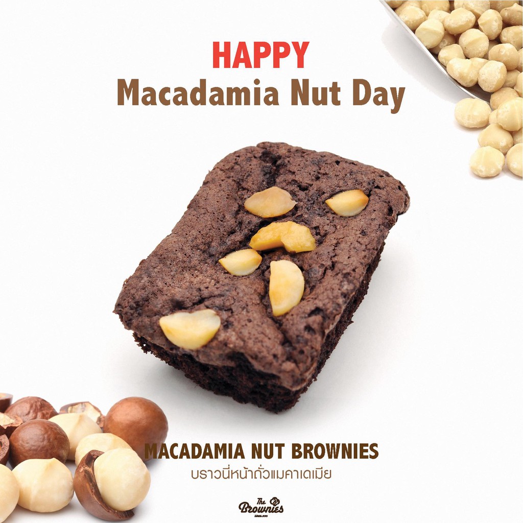 ราคาและรีวิวMacadamia Nut Brownies (บราวนี่หน้าถั่วแมคคาเดเมีย)