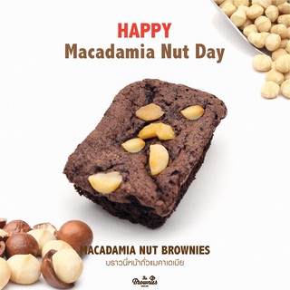 ภาพขนาดย่อของสินค้าMacadamia Nut Brownies (บราวนี่หน้าถั่วแมคคาเดเมีย)