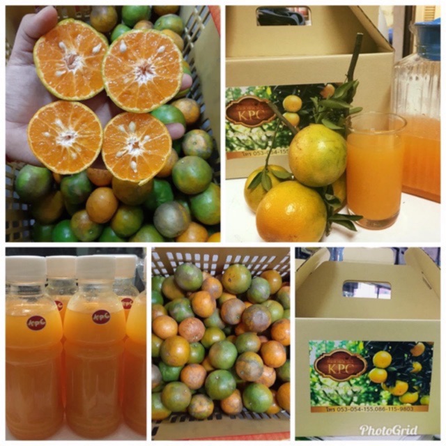 รูปภาพของส้มทำน้ำส้มคั้น 9 กก สายน้ำผึ้ง ฝาง เชียงใหม่ ส้มเบอร์2-3 เก็บสดจากสวนทุกวันลองเช็คราคา