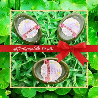 🎀สบู่สมุนไพร🎀 สบู่ใบบัวบกน้ำผึ้ง สบู่กลีเซอรีน ขนาด 50 กรัม Centella Asiatica & Honey Glycerin Soap