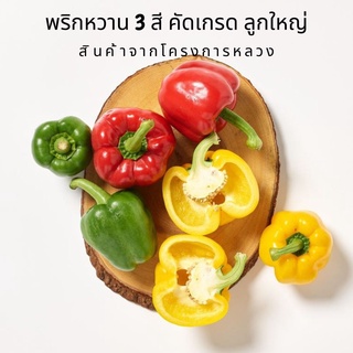 พริกหวาน 3 สี ลูกใหญ่ คัดเกรด  โครงการหลวง  พริกหวานสด ลูกใหญ่