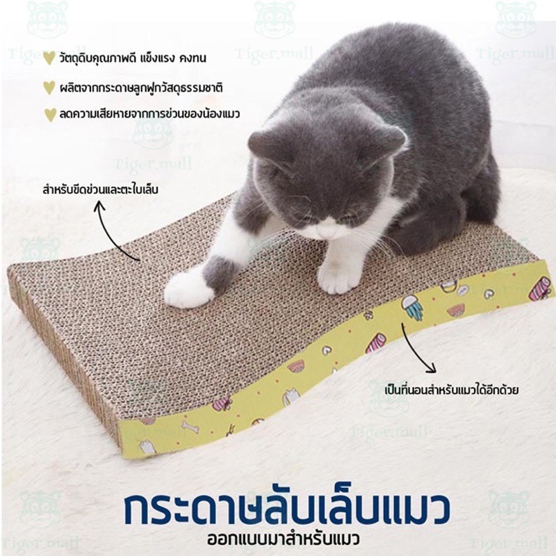 โซฟาลับแมว-ในเล็บแมว-มีหลายขนาด-เริ่มต้นราคา19บาท-มีชำระปลายทาง