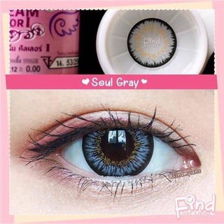 Soul Gray (2) บิ๊กอาย สีเทา เทา ตาโต Dreamcolor1 คอนแทคเลนส์ บิ๊กอาย ฝาม่วง ทรีโทน ตัดขอบดำ สายตาสั้น ค่าสายตา สายตาปกติ