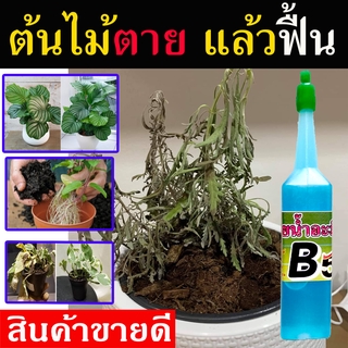 ✨ส่งทุกวัน🎇 ปุ๋ยน้ำ B5 (1 ขวด ) ปุ๋ยบำรุงต้นไม้ ใช้ได้ 7-10 ครั้ง ขนาด 40 ml. นาโนบำรุงพืช บำรุงรากพืช ยาบำรุงต้นพืช