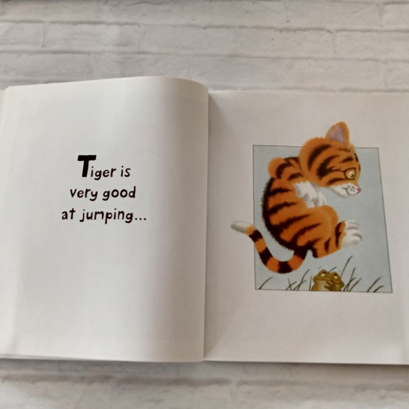 หนังสือปกอ่อน-tiger-มือสอง