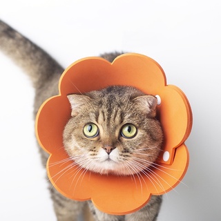 ภาพขนาดย่อของภาพหน้าปกสินค้าBABY PET  คอลล่าดอกไม้ ปลอกคอกันเลียแผล คอลล่าหมา ปลอกคอดอกไม้ คอลล่าแมว จากร้าน babypet99 บน Shopee ภาพที่ 4