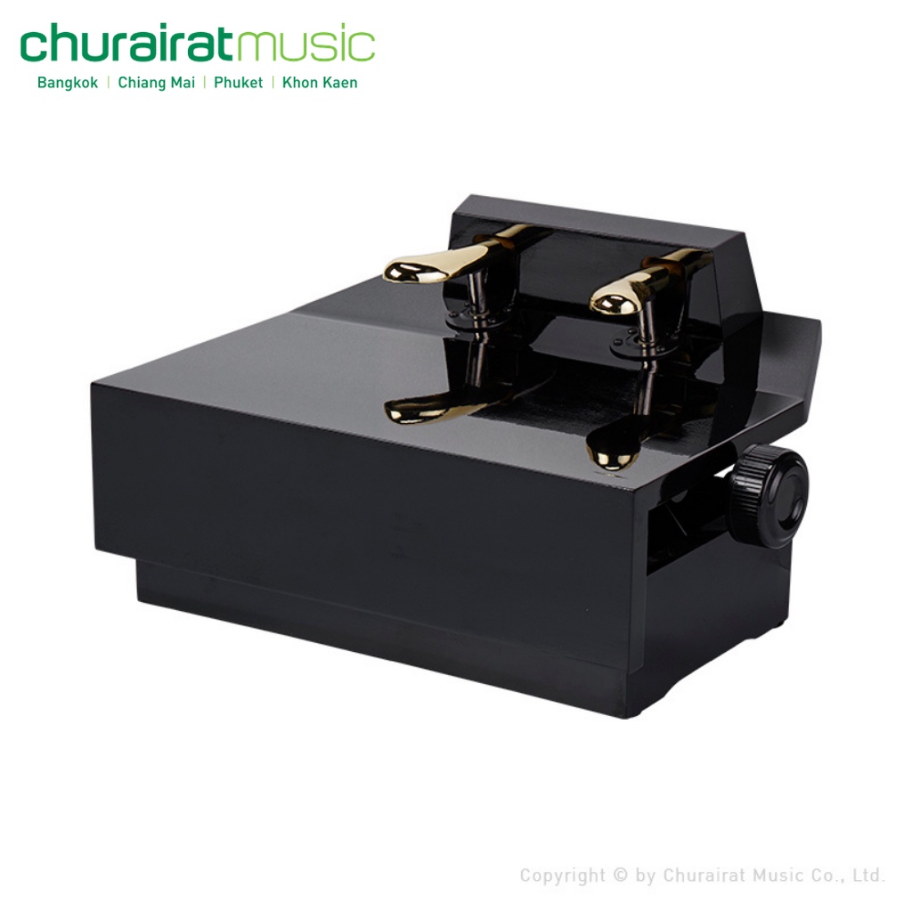 classic-piano-pedal-สำหรับเด็ก-by-churairat-music