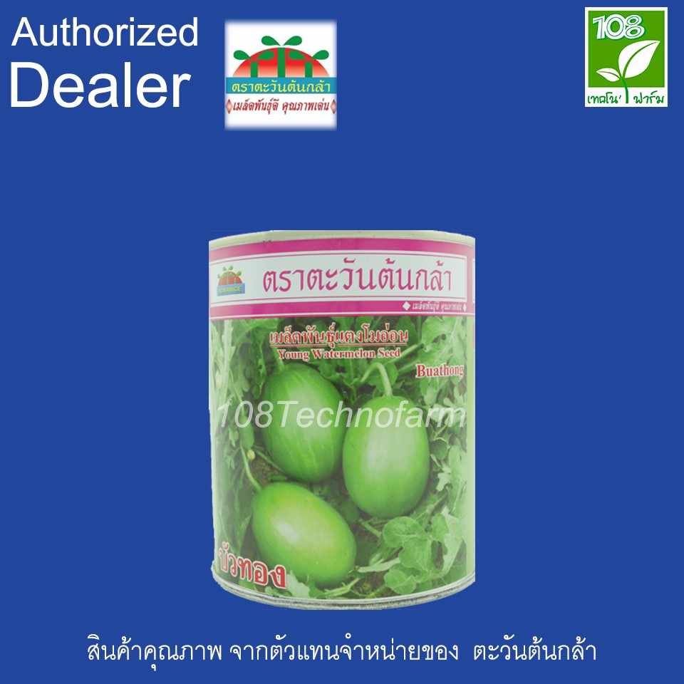 เมล็ดพันธุ์-แตงโมอ่อน-บัวทอง-ตราตะวันต้นกล้า-250-กรัม