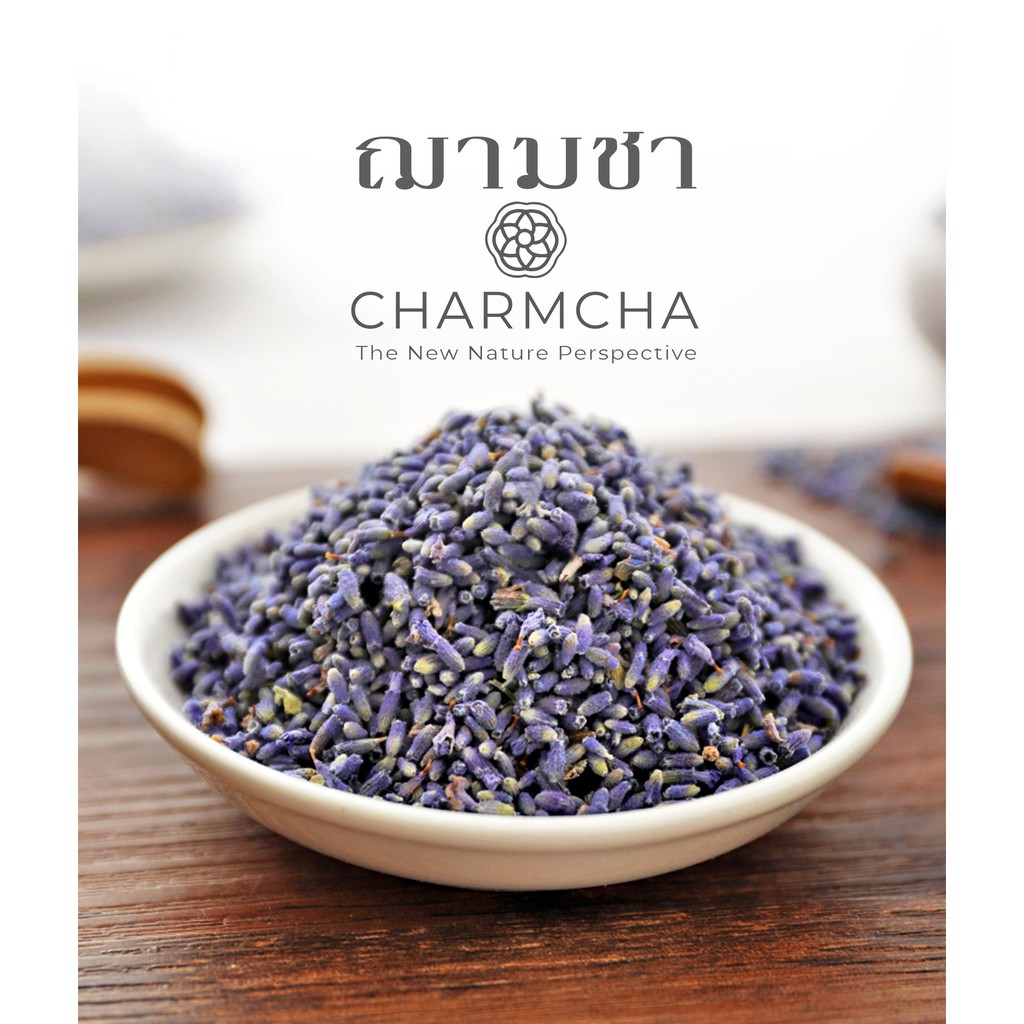 ชาดอกลาเวนเดอร์-lavender-flowertea-คลายความตึงเครียดและทำให้หลับสบาย-ชาดอกไม้-charmcha-ฌามชา