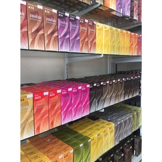 Berina Hair Color เบอริน่า แฮร์ คัลเลอร์ ครีมย้อมสีผม สีสวย สีติดทน