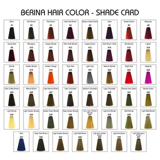 แท้💯%Berina Hair Color เบอรีน่า สีย้อมผม สีผมเบอริน่า