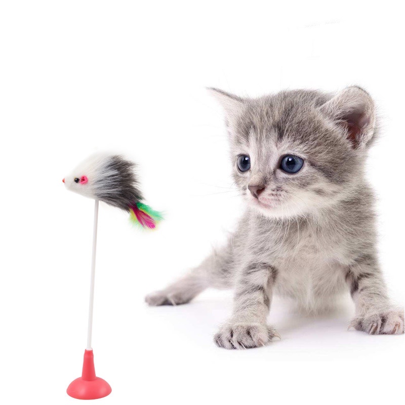 v027-baby-pet-ไม้ตกแมว-ของเล่นแมว-ตุ๊กตาหนู-สปริง-ของเล่นสัตว์เลี้ยงสปริงหนู-มีตัวดูด-มีราคาส่ง