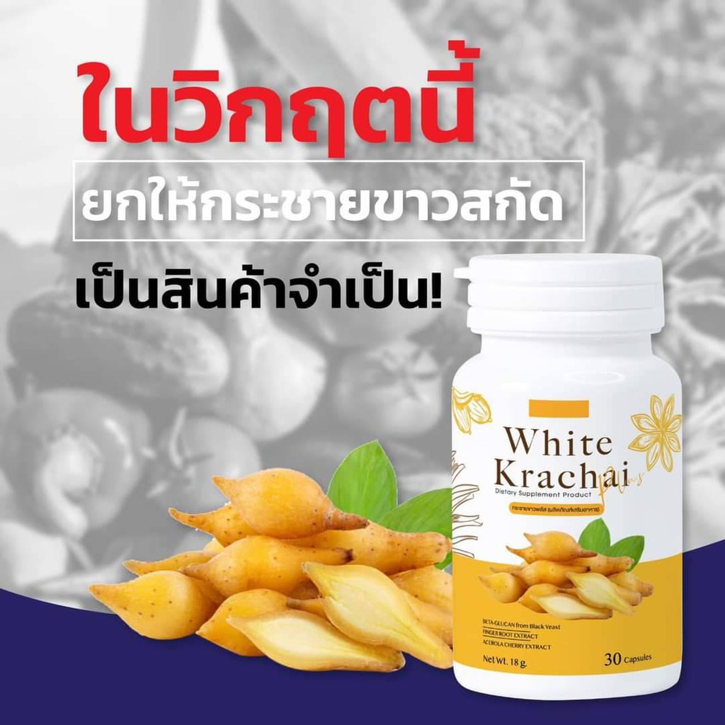 สมุนไพรกระชายขาว100-white-krachai-plus-ไวท์-กระชาย-พลัส-สร้างเกาะคุ้มกัน-x10