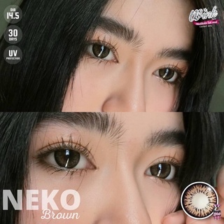 Neko brown รุ่นน้ำตาลดำหวาน