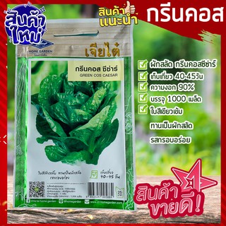 เจียไต๋ 🥦เมล็ดพันธุ์ กรีนคอส 1000 เมล็ด Green Cos  ผักสลัด เมล็ดสลัดกรีนคอสซีซ่าร์