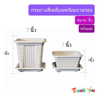 สินค้า กระถางสี่เหลี่ยมพร้อมจานรอง 7 นิ้ว