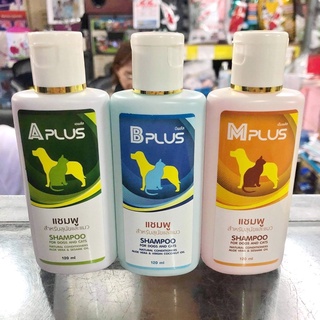 ภาพหน้าปกสินค้าแชมพู Aplus / Bplus / Mplus ช่วยรักษาผิวหนังสำหรับสุนัขและแมว ที่เกี่ยวข้อง