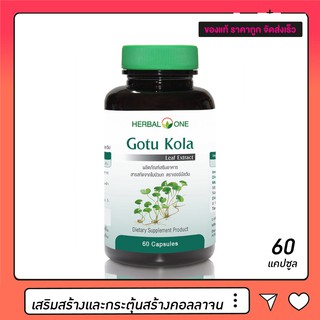 ภาพหน้าปกสินค้าGotu Kola Herbal One ใบบัวบกสกัด (60 แคปซูล) จำนวน 1 ขวด ที่เกี่ยวข้อง