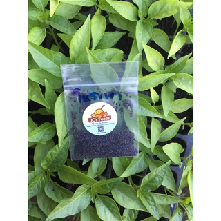 เมล็ดพันธุ์โหระพา (Thai basil) ซองละ 25 บาท เมล็ดพันธุ์จากบ้านสวนปลูกต่อได้