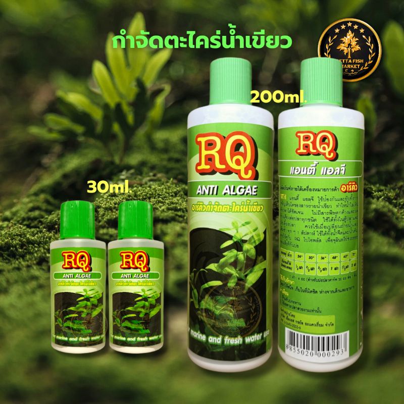 rq-anti-algae-กำจัดตะไคร่น้ำเขียว-200ml-ตู้ปลาและบ่อปลา-แก้ปัญหาน้ำสีเขียว