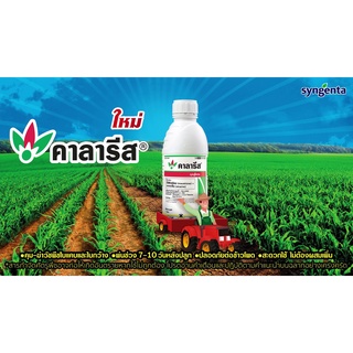 คาลารีส-คาลาริส มีโซไตรโอน (mesotrione)+อะทราซีน (atrazine)( 1 ลิตร ) สารคุมและกำจัดวัชพืชในข้าวโพดและอ้อย