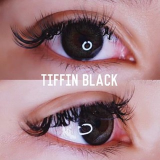 ภาพหน้าปกสินค้าคอนแทคเลนส์ Dreamcolor รุ่น Tiffin Black สีดำ ขนาดเท่าตา คอนแทคเลนส์ดรีมคัลเลอร์วัน ที่เกี่ยวข้อง