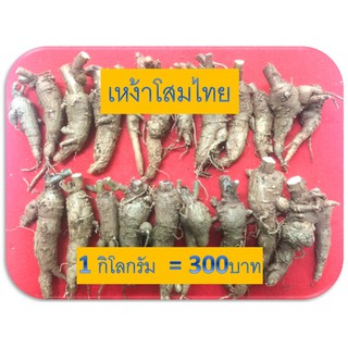 เหง้าโสมไทย500กรัม(โสมคน:ภาคกลาง)(ว่านผักปัง:เชียงใหม่)(โทวหนิ่งเซียม:จีน)(ถู่เหยินเซิน:จีนกลาง)