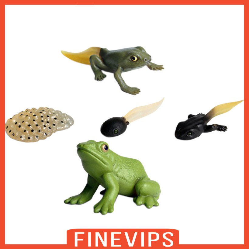 finevips-ชุดโมเดลกบจําลองของเล่นสําหรับเด็ก