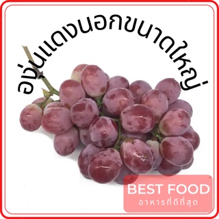 องุ่นแดงนอกขนาดใหญ่ big red grapes