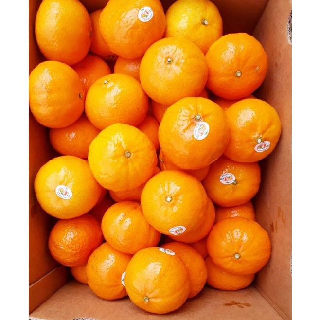 ภาพหน้าปกสินค้าส้มแมนดาริน 2 P.H. นำเข้าจากออสเตรเลีย รสชาติเข้มข้น อร่อย เกรด พรีเมียม 1kg จากร้าน posh_fruit_shop88 บน Shopee