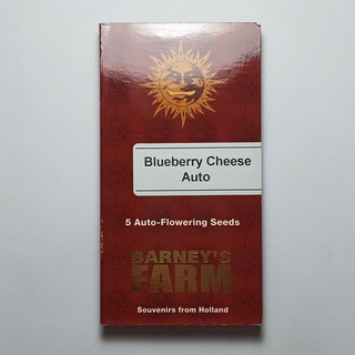 420 seeds Barneys farm Blueberry Cheese Auto 5 cannabis seeds