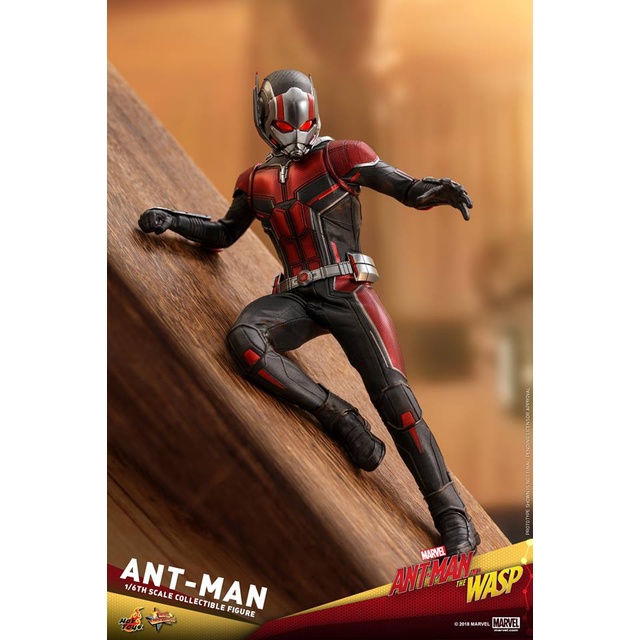 สินค้าพร้อมส่ง-ฟิกเกอร์-โมเดล-ของ-สะสม-hot-toys-mms497-ant-man-and-the-wasp-ant-man