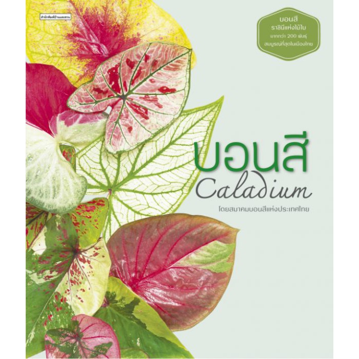 บอนสี-caladium-ปกแข็ง-บอนสี-ราชินีแห่งไม้ใบ-มากกว่า-200-พันธุ์-สมบูรณ์ที่สุดในเมืองไทย-สมาคมบอนสีแห่งประเทศไทย