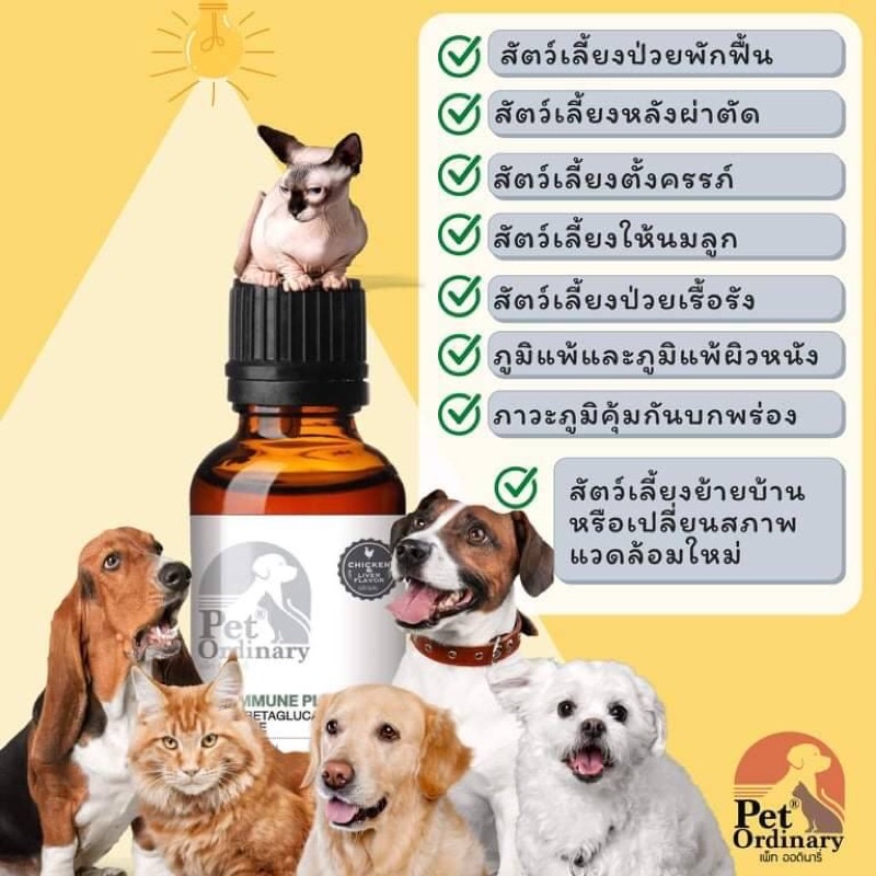 pet-ordinary-ขนาด-100-ml-วิตามินกระตุ้นภูมิคุ้มกัน-สำหรับสุนัขและแมว-ผลิตจากเบต้า-กลูแคนและไลซีน-รสตับ