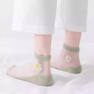 ภาพขนาดย่อของภาพหน้าปกสินค้าถุงเท้า ถุงเท้าเดซี่ซีทรู ถุงเท้าข้อสั้น ( 1ถุง10คู่/10สี ) ถุงเท้าแฟชั่น น่ารักสไตล์เกาหลี จากร้าน sy_shop899 บน Shopee ภาพที่ 6