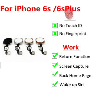 สายแพรปุ่มโฮม สําหรับ iPhone 6s 6s Plus ย้อนกลับปุ่มย้อนกลับ ไม่มีปุ่มสัมผัส ID ฟังก์ชั่นลายนิ้วมือ เปลี่ยนได้