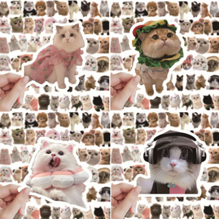 สติกเกอร์ กันน้ํา ลายแมว MEME น่ารัก สําหรับติดตกแต่งแล็ปท็อป iPad Mac หมวกกันน็อค โน้ตบุ๊ก 60 ชิ้น