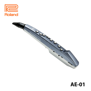 Roland Aerophone mini AE-01 เครื่องลมดิจิตอล ขนาดกะทัดรัด เครื่องดนตรีลมดิจิตอล เรียนรู้และเล่นง่าย
