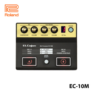 Roland EC-10M ตัวประมวลผลไมโครโฟน สําหรับ EC-10 ELCajon สีดํา