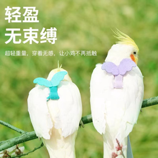 เชือกลากจูง ของเล่นสําหรับนกแก้ว นกใช้เชือกบินเพื่อเล่นและบินออกไปด้วยเชือกนกแก้วชุดบินของเล่นแบบโต้ตอบนกเดิน