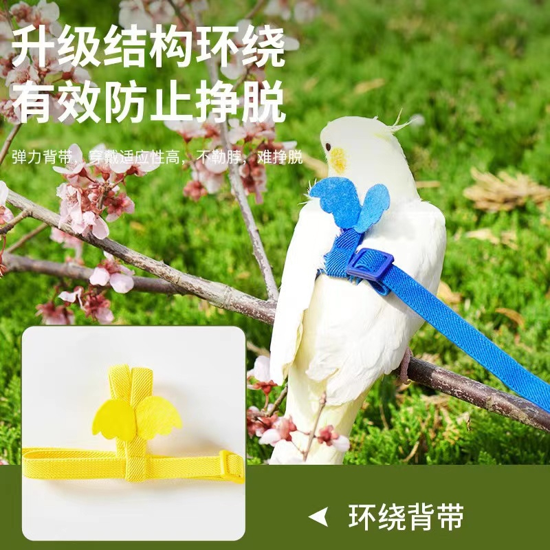 เชือกลากจูง-ของเล่นสําหรับนกแก้ว-นกใช้เชือกบินเพื่อเล่นและบินออกไปด้วยเชือกนกแก้วชุดบินของเล่นแบบโต้ตอบนกเดิน