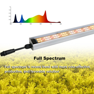 60W Full Spectrum Hydroponic ไฟปลูกต้นไม้ SamsungLM301H EVO ไฟปลูกกัญ ไฟปลูกดอกไม้ โคมไฟตู้ปลา