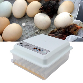 December305 36 Eggs Incubators White Dual Power System ตู้ฟักไข่อุณหภูมิคงที่อัจฉริยะสำหรับการฟักไข่