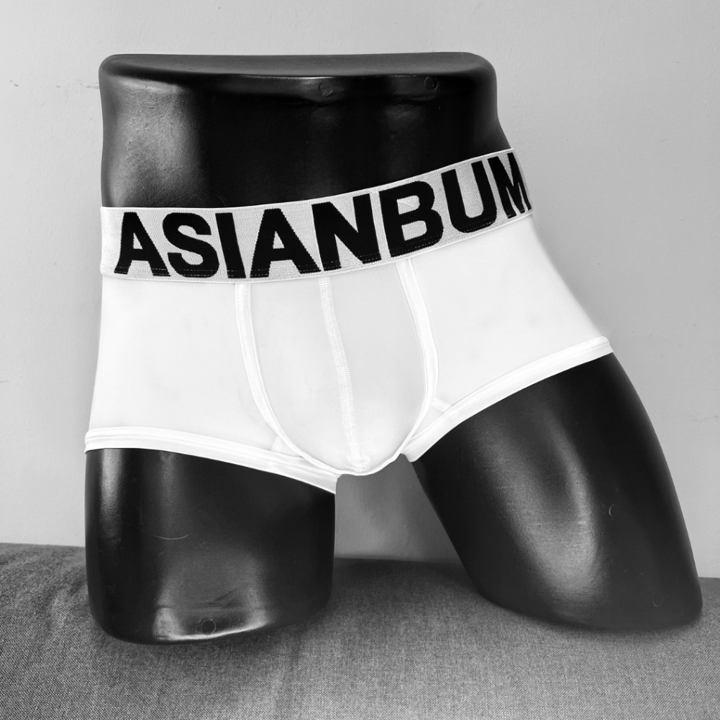 ab05-asianbum-ชุดชั้นใน-กางเกงบ็อกเซอร์-ผ้าไหม-สีน้ําตาล