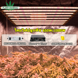 650W 1000W ไฟปลูกต้นไม้ SamsungLM301H EVO LED grow light  ตั้งเวลา ไฟบาร์ปลูกต้นไม้  Meanwell driver ไฟปลูกกัญ