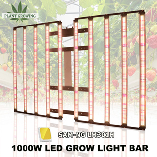 1000W  SamsungLM301H EVO ไฟปลูกกัญ LED grow lightไฟช่วยต้นไม้ตัวเร็ว 1.6m 10bar เสริมด้วย ตั้งเวลา ปรับความสว่างได้ ไฟ led ปลูกต้นไม้
