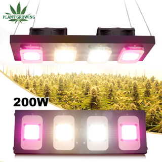 200w LED grow light full spectrum SamsungLM282B DOB chip ไฟปลูกกัญ ไฟปลูกดอกไม้ ไฟช่วยต้นไม้ตัวเร็ว