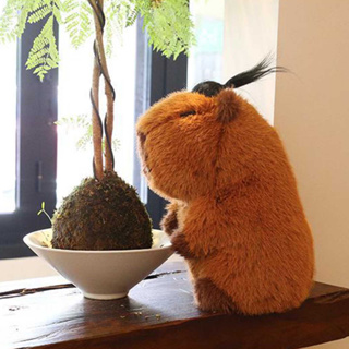 ตุ๊กตานุ่ม รูปการ์ตูน Capybara เป็นมิตรกับผิวหนัง ของเล่นสําหรับเด็ก ของขวัญวันเกิด