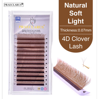 PRAECLARUS 4D W Shape Coffee Color Lashes ขนตาปลอม ขนมิงค์นิ่ม 4D ขนโคลเวอร์ 0.07 มม. สีกาแฟ