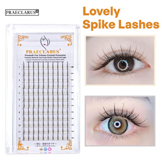 PRAECLARUS เข็มต่อขนตาความหนา 0.07 มม. Prefab ส่วนบุคคลปริมาณพัดลมบางเข็มเอฟเฟกต์ Fairy Eyelash